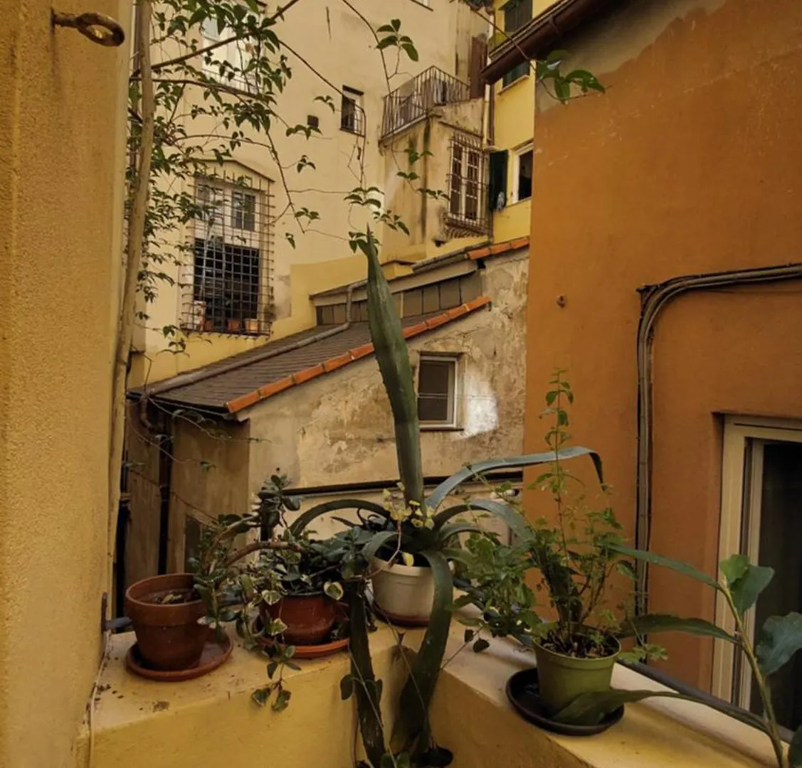 L'Angolo Verde In San Luca Genoa Italy
